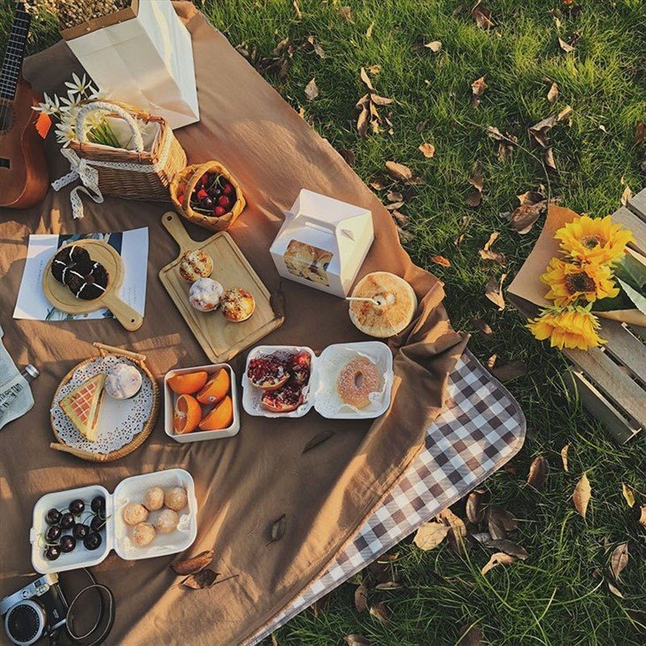 Portable Picnic Blanket